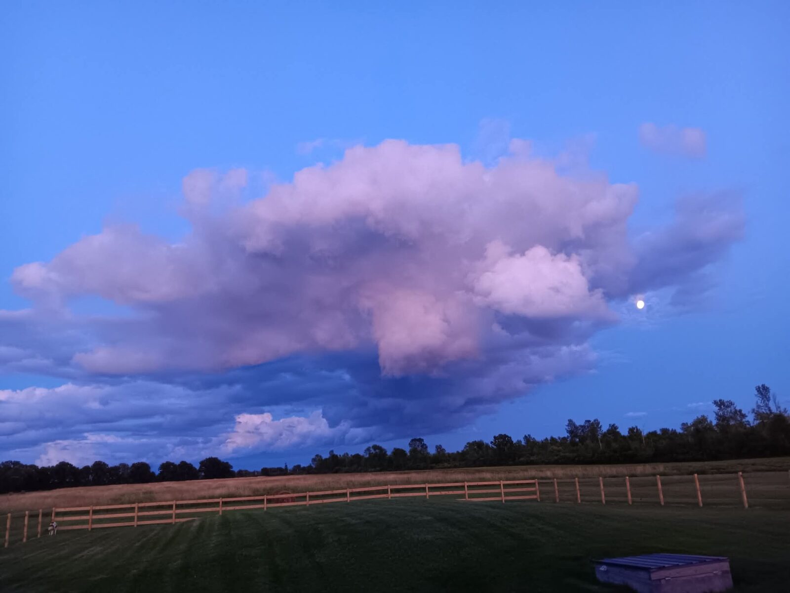 Sunset clouds over the ranch treeline
