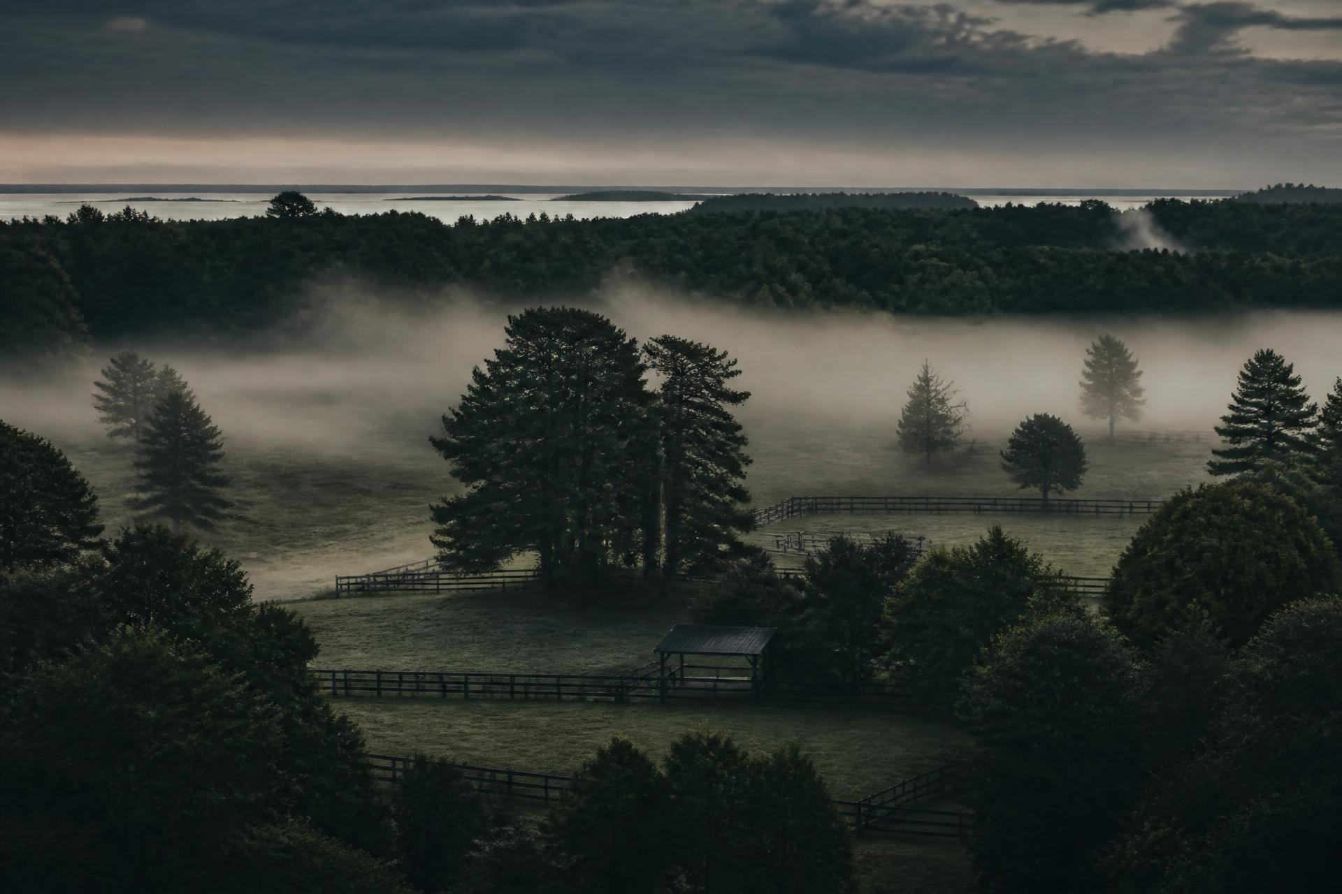 Misty timber and water at first light in Three Mile Bay, New York